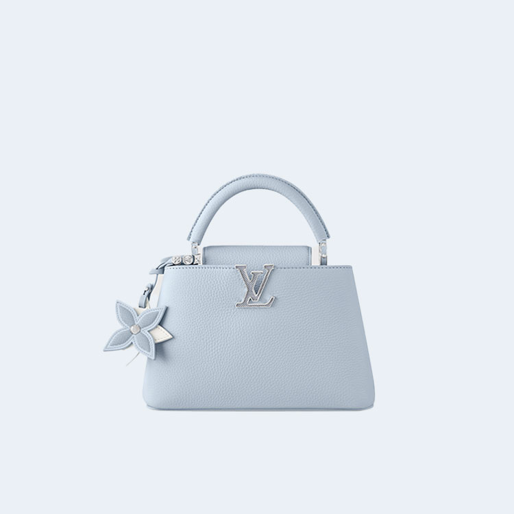 루이비통 카퓌신 BB M21303